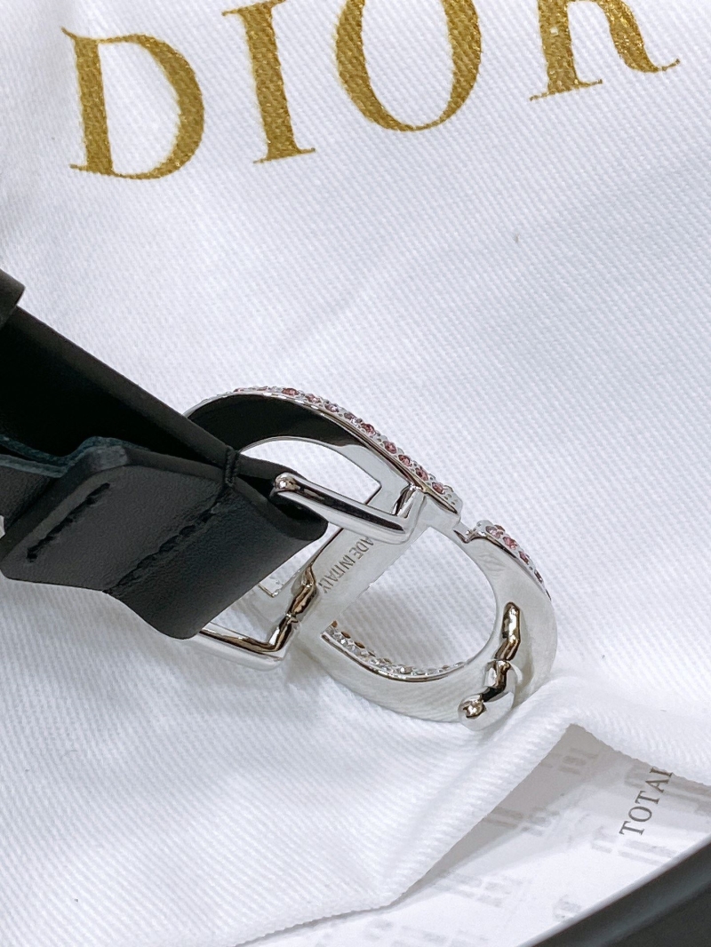 Dior Belts